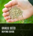 Hybrid Bermuda Grass Seed 50gm - Grass Seeds For Lawn & Garden. 