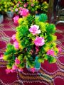 Artificial Bonsai Tree / Flower Pot ( Artificial Plant Decoration ). 