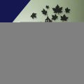 New 3D Leaf Shape wooden Wall Clock Design For Your Home,Office, Rooms By wallwarriors. 