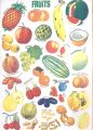 8 Pcs Set Animals, Fruits, Birds, Vegetables, Counting Early Learning Children Adhesive Stickers. 