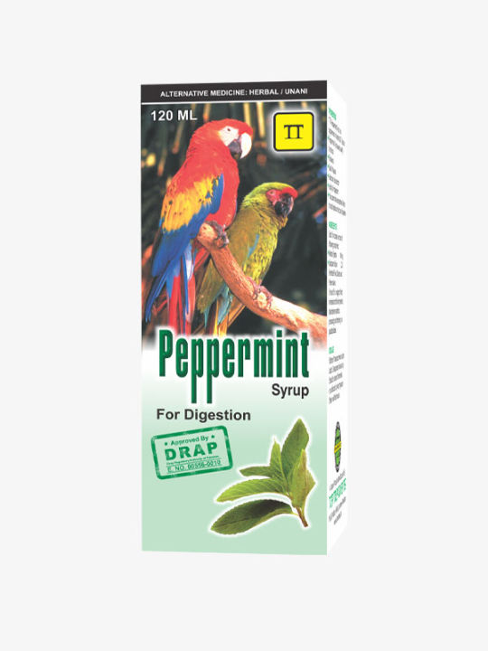 Peppermint Syrup - Herbal Digestive Aid | Relieves Indigestion & Promotes Healthy Digestion - 120ml"