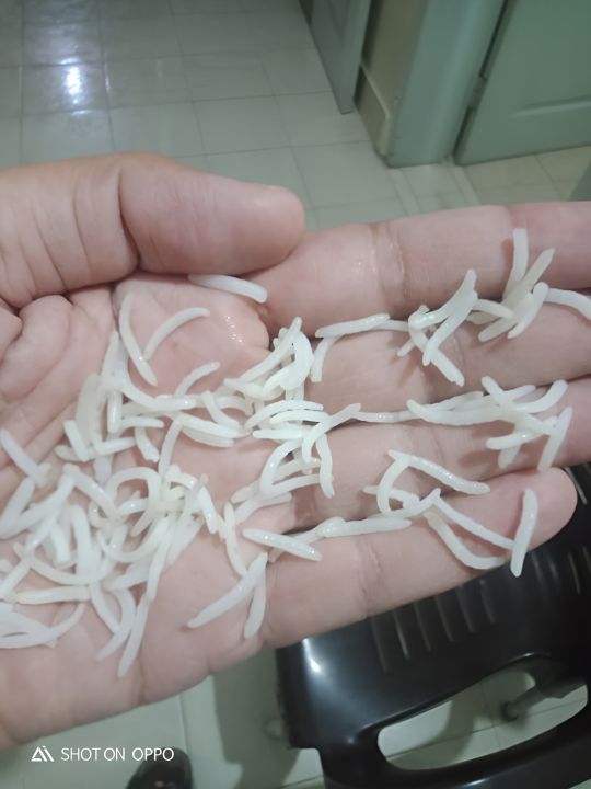 Kainat Rice 1121 Sella Double Steem | Daraz.pk