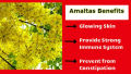 Amaltas Seeds / Cassia Fistula / Golden Shower Tree Seeds. 