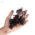 12x Mini Cow Models Craft Educational Learning Toys Cattle Figurine for Classrooms Rewards Kids Toy. 