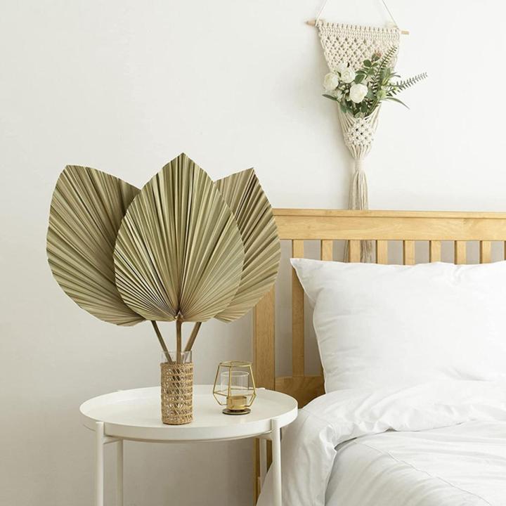 Dried Palm Leaves Room Decor 5 Pieces - 18Inch H x 10Inch W Palm Leaf