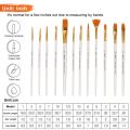 Giorgione Paint Brush Set of 12 Mix Brushes,Nylon Hair Brushes for Oil Watercolor Painting, Face Body Model Paint, Nail Art, Miniature Detailing & Rock Painting. 