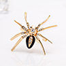 Fashion Spider Gift Women Collar Brooch Pin Clip Scarf Wedding Party Jewelry. 