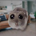 Cross-Border New Products Sad Hamster Sadness Mouse Simulation Mouse Hamster Plush Toy Doll Doll. 