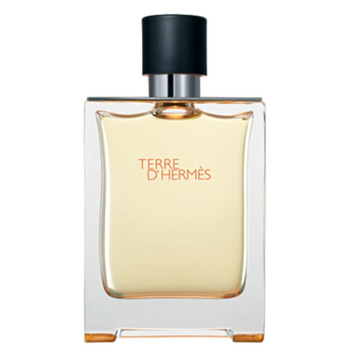 TERRE%20D%20HERMES%20EDT%20100ML%20HERMES%20-%20Image%203