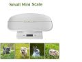 Digital Small Scales for Weighing kitchen items and small pets. 