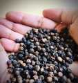 Black Pepper Whole / Kali Mirch Sabut Great Quality 1kg. 