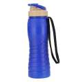 Apollo Spring Thermal Bottle 500ml Multi Color. 