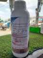 COMPACT Termite Proofing  |  1 Liter   |   Complete Solution for Termite Proofing  |   Colony Killer. 