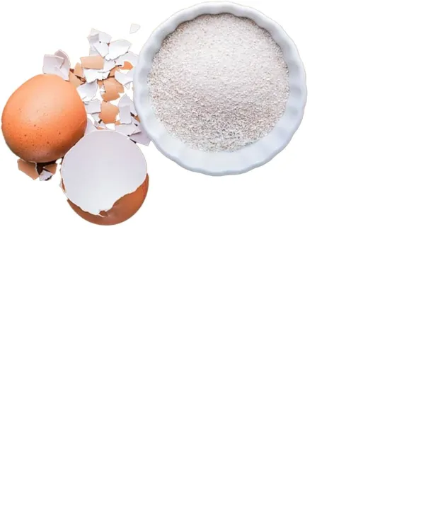 EGG%20SHELL%20POWDER%7CORGANIC%7C100:GRAM%20-%20Image%203
