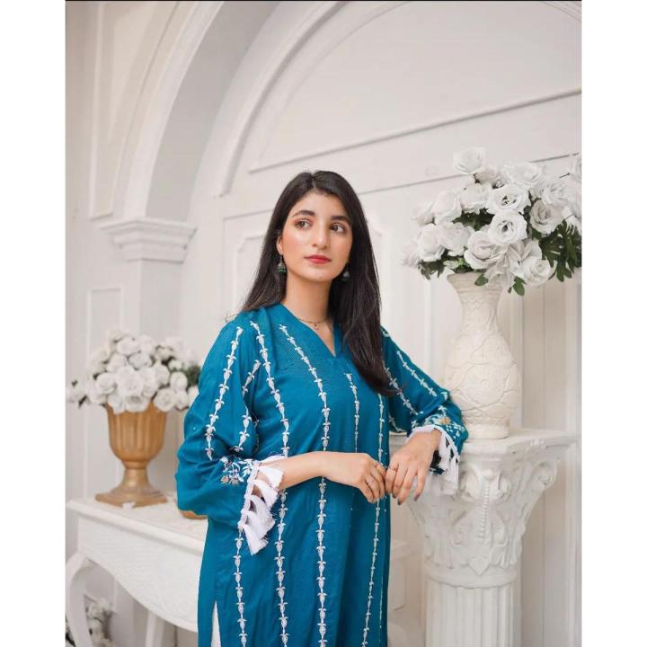 2 pc pheran boutique new arrival 2022 for women