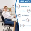 5RIDGE Back Support Ortho Cushion  Ergonomic Relief for Comfort & Wellness  | Daraz Online Store. 