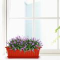 decoration Pack of 2 Plastic Kiari for plants and flower growing dia 17 x 8 inch, height 5.50 inch (SG-151). 
