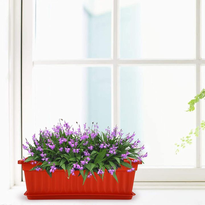 decoration%20Pack%20of%202%20Plastic%20Kiari%20for%20plants%20and%20flower%20growing%20dia%2017%20x%208%20inch,%20height%205.50%20inch%20(SG-151)%20-%20Image%205