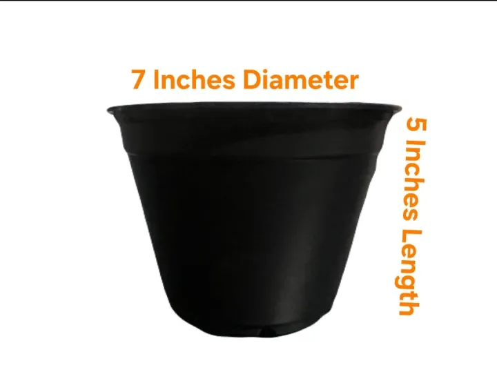 Pack%20of%2010%20large%208%C3%978%20Inches%20Plastic%20pots%20-%20Pots%20for%20seedling%20or%20flower-Pots%20for%20Plants%20-%20Plastic%20Pots%20for%20Home%20Gardening%20-%20Plastic%20Pots%20for%20Seedling%20-%20Premium%20Quality%20Plastic%20Pots%20-%20Image%203