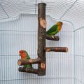 Wood Parrot Play Stand, Nature Wooden Fork Stand, Natural Platform, Stick and rounded bird Toys. 