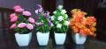 Decoration Square Flower & Plant Flower Pots Boxes pack of 4 SG-176. 