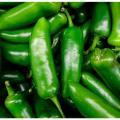 Jalapeno Hybrid Green Chilli Chili Seeds (Sabaz Mirch) Kitchen Gardening Vegetable. 