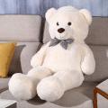 1ft ,1.5ft ,2ft ,3ft ,3.5ft Cute Teddy Bear for Girls - Off White Color - For Birthday/Anniversary/Valentine/Gift. 