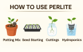 0.1 – 5 kg | Perlite for Soil & Plants | Lightweight Additive for Drainage, Aeration & Root Growth | Ideal for Pots,Seedlings, Succulents, Cuttings | Mix with Cocopeat, Compost, Vermicompost & Potting Mix | 100g, 200g, 300g, 400g, 500g, 1kg, 2kg, 3kg, 5kg. 