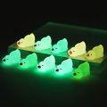 10Pcs Mini Luminous Resin Ducks Glow In The Dark Miniature Ornament Tiny Duck Sunlight Super Store. 