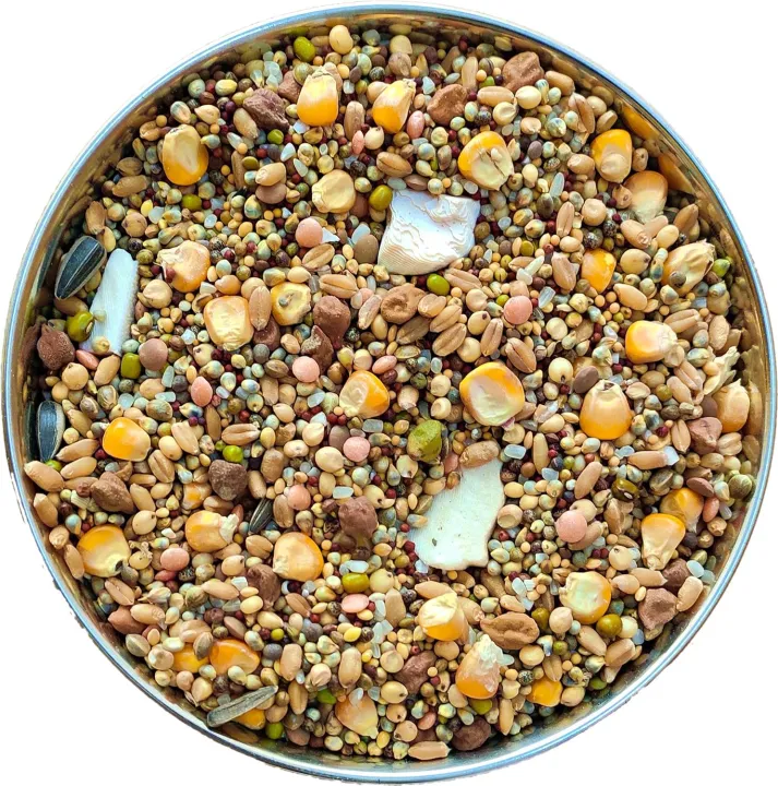 The%20Birds%20Company%20Premium%20Seed%20Blend%20of%208%20Grains%20&%20Nuts,%20Fortified%20with%20Spirulina,%20Bird%20Food%20for%20Pigeons,%20500%20grams%20pack%20-%20Image%202