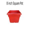8 inch square pot decent design dia 8 inch, height 6 inch. 