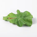Creative Simulation Lettuce Hair Clip Green Vegetable Leaves Hair Ornaments DUJU. 