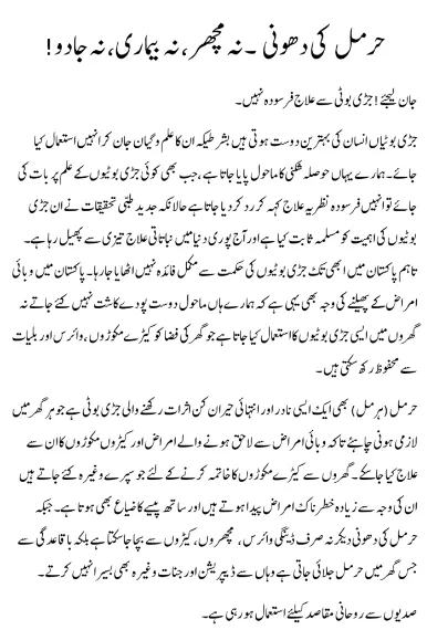 Harmal%20-%20%D8%AD%D8%B1%D9%85%D9%84%20(Peganum%20Harmala%20Seeds)%20-%201%20KG%20-%20Image%203