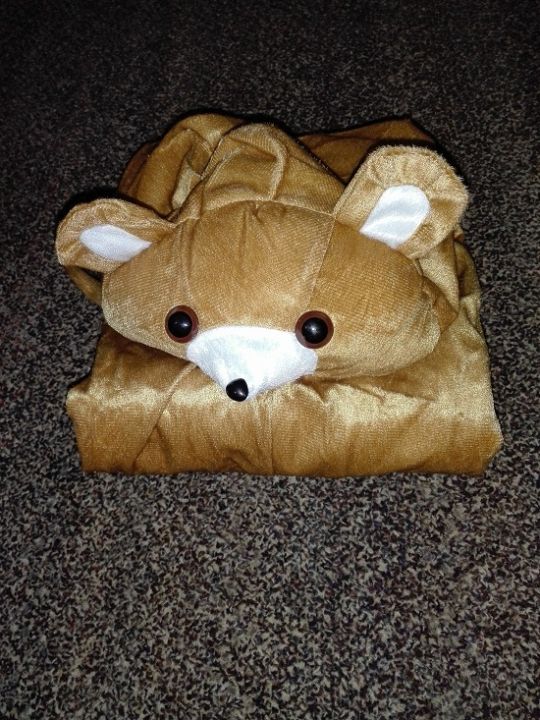 Kids%20Bear%20Costume%20-%20Image%205