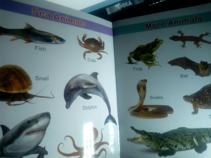 Book%20of%20general%20knowledge%20basic%20Learning%20words%20for%20kids%20with%20picture%7C%20high%20quality%20-%20Image%207