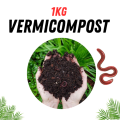 Premium organic vermicompost for lawn ,garden etc by Plantopia. 