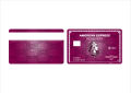 Best Amex Card Skin | Your American Express Card Skin. 
