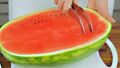 Angurello Watermelon Slicer & Server Double Knife cuts Fruits. 