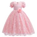 Toddler Girls Lace Princess Dress, Sleeveless Round Neck 3D Flower Formal Dress Party Gown. 