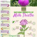 MILK THISTLE SEEDS POWDER - Organic for Tea Silybum Marianum Powder Natural Detox 100g. 