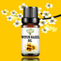 Witch Hazel Oil Pure and Organic. 