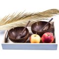 Coconut Bowls and Wooden Spoons for Serving Noodle,Pasta,Smoothie,Porridge,Handicraft Decoration Coconut Shell Bowl. 