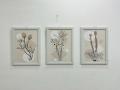 Bareeh- Set of 3, Abstract Artwork, decent flower design, Modern European painting, Wall Frames,  Home Decor, Office Decor, Wall Art Frames for living room/drawing room/ bedroom. 