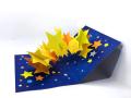 3D Star pop up card (with 1x beautiful envelop) High Quality.. 