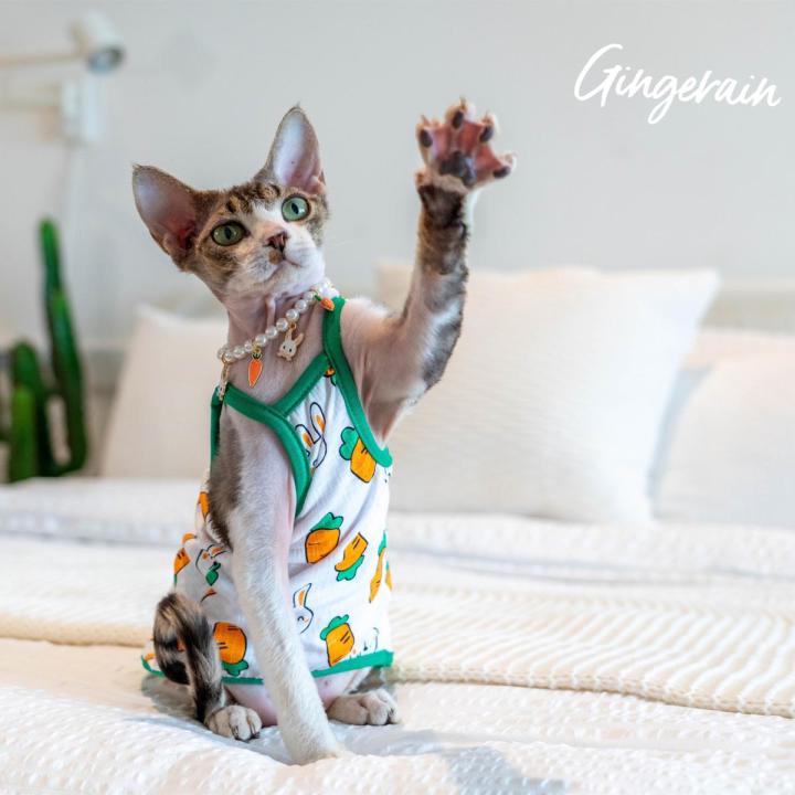Summer Suspender Hairless Cat Costume Gingerain Sphynx Cat - Main Image