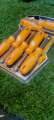 Ingco 7Pcs Nut Screwdriver Set (HKNSD0701). 