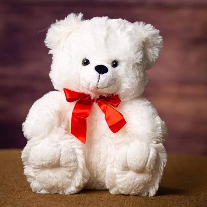 Teddy Bear Stuff White Colour (12 inches) New