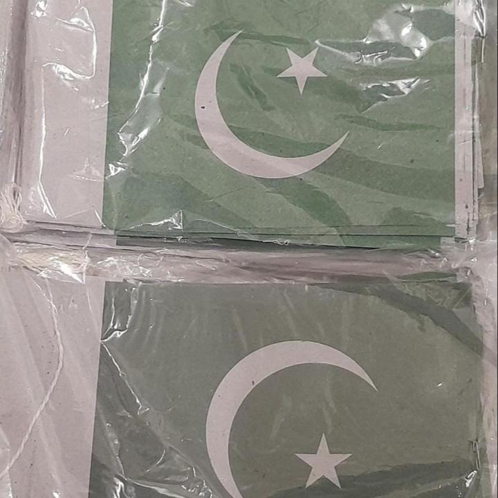Paistani Flag Jhandian