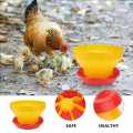 5 Pcs. (Pack of 5) 8 KG - Poultry Feeder Automatic Fodder Pot Bucket Duckling Feeder. 
