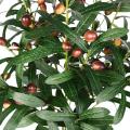 Kitchen Decoration Olive Fruit Branch Artificial Olive Branch Olive Branch Table Centerpiece Faux Olive Branch Arrangements. 